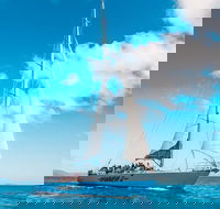 3 Day and 2 Night Whitsundays Maxi Sailing Adventure on Hammer - Hotel Accommodation