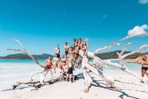 4 Day And 3 Night Whitsunday Maxi Sailing Adventure On Broomstick - Hotel Accommodation 3