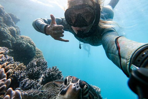 4 Day And 3 Night Whitsunday Maxi Sailing Adventure On Broomstick - Hotel Accommodation 13