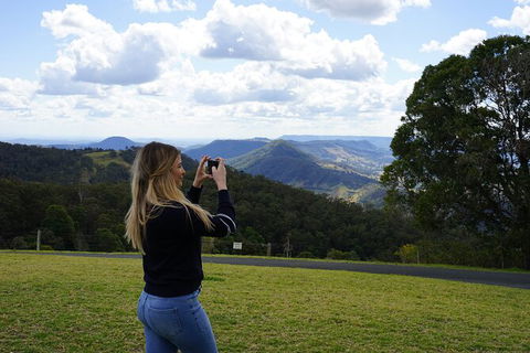 Oâ€™Reillyâ€™s Rainforest Retreat And Winery Day Tour From Nerang - Hotel Accommodation 5