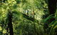 Oâ€™Reillyâ€™s Rainforest Retreat And Winery Day Tour From Nerang - thumb 0