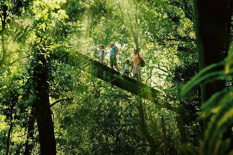 Oâ€™Reillyâ€™s Rainforest Retreat And Winery Day Tour From Nerang - Hotel Accommodation 0