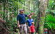 Oâ€™Reillyâ€™s Rainforest Retreat And Winery Day Tour From Nerang - thumb 3