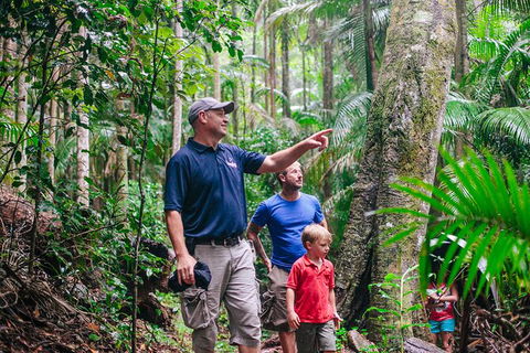 Oâ€™Reillyâ€™s Rainforest Retreat And Winery Day Tour From Nerang - Hotel Accommodation 3
