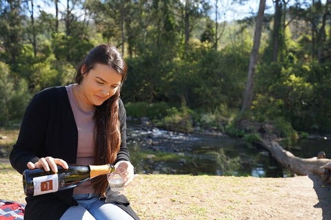 Oâ€™Reillyâ€™s Rainforest Retreat And Winery Day Tour From Nerang - Hotel Accommodation 1