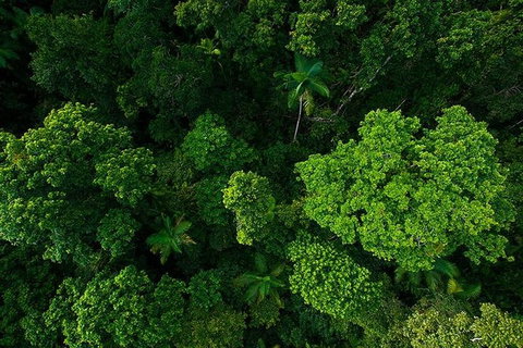 Cairns & Port Douglas All-Inclusive 7 Days Touring Package - Hotel Accommodation 3