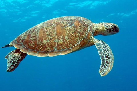 Cairns & Port Douglas All-Inclusive 7 Days Touring Package - Hotel Accommodation 1