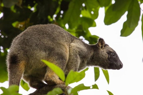 Cairns & Port Douglas All-Inclusive 7 Days Touring Package - Hotel Accommodation 8