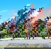 Mid-Morning Beach Horse Ride in Cape Tribulation with Pick Up