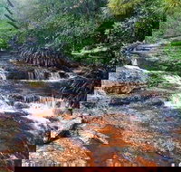 Springbrook Full Day Tour - Hotel Accommodation
