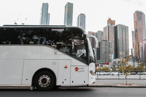Private 13 Seat Mini Bus Gold Coast CBD To Gold Coast Airport Transfer - Hotel Accommodation 1
