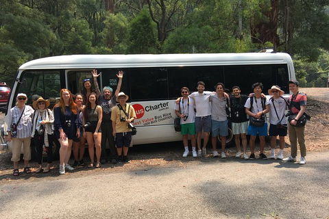 Private 13 Seat Mini Bus Gold Coast CBD To Gold Coast Airport Transfer - Hotel Accommodation 4