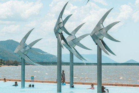 Cairns Airport Private Chater Transfer - Hotel Accommodation 4