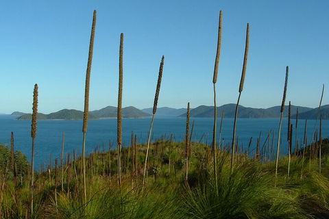 7-Day Private Sea Kayaking In Whitsundays - Hotel Accommodation 8