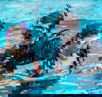 PADI Diving Courses on the Gold Coast - Hotel Accommodation