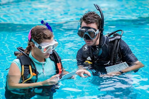 PADI Diving Courses On The Gold Coast - Hotel Accommodation 0