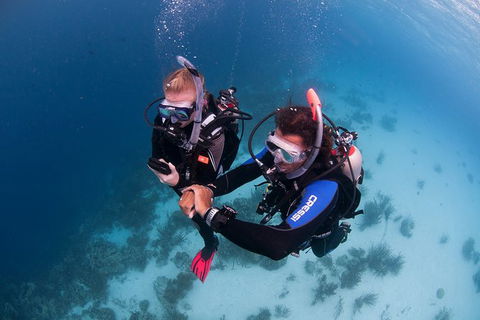 PADI Diving Courses On The Gold Coast - Hotel Accommodation 5