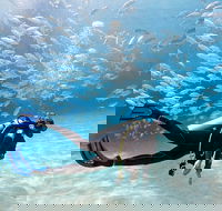 Exciting Gold Coast Diving Excursions - Hotel Accommodation