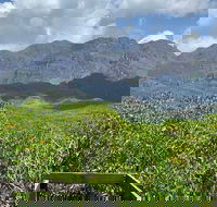 Hinchinbrook Island Tour