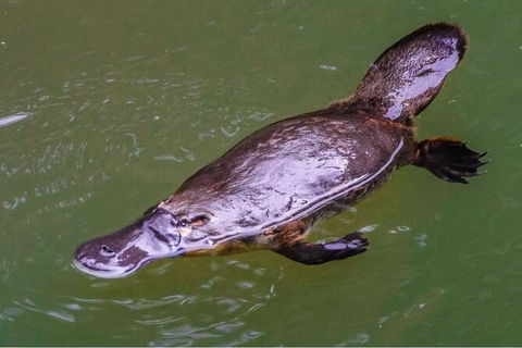 8-Day Outback Experience From Queensland - Hotel Accommodation 15