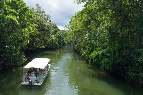 World Heritage Highlights: Reef/Daintree/Cape Tribulation - Hotel Accommodation 1