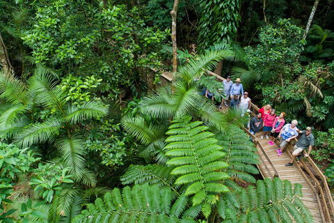 World Heritage Highlights: Reef/Daintree/Cape Tribulation - Hotel Accommodation 3