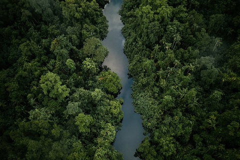 World Heritage Highlights: Reef/Daintree/Cape Tribulation - Hotel Accommodation 10
