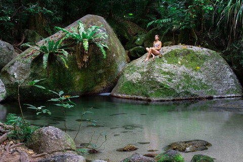 Mossman Gorge Adventure Day - Hotel Accommodation 6