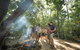 Mossman Gorge Adventure Day - thumb 2