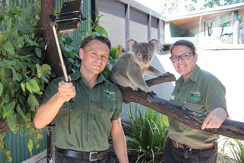 Virtual Interactive Australian Wildlife Tour With Private Guide-Wildlife Habitat - Hotel Accommodation 4
