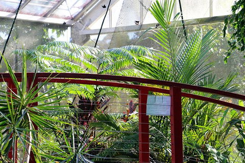 Australian Butterfly Sanctuary- Virtual Interactive Tour With Private Guide - Hotel Accommodation 2