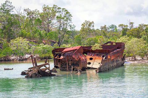 Sandy Straits Scenic & Wildlife Cruise - Hotel Accommodation 9