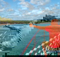 Sandy Straits Scenic  Wildlife Cruise