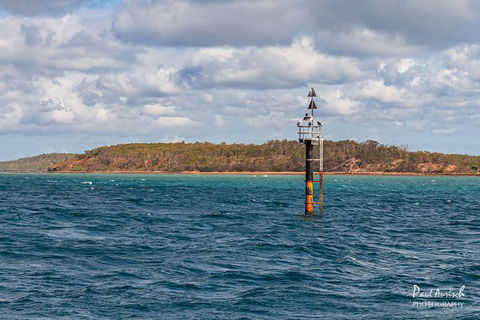 Sandy Straits Scenic & Wildlife Cruise - Hotel Accommodation 6