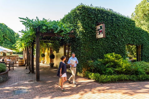 Yalumba Nursery & Grenache Discovery Tour + Platter Lunch - Hotel Accommodation 3