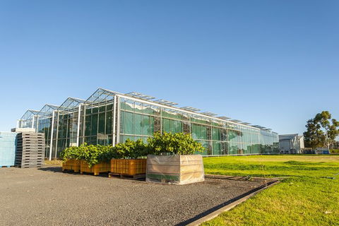 Yalumba Nursery & Grenache Discovery Tour + Platter Lunch - Hotel Accommodation 5