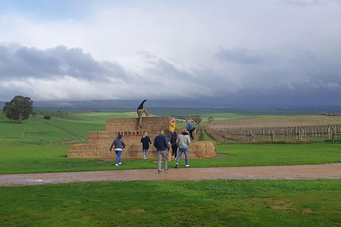 Private Wine Tour - Hotel Accommodation 4