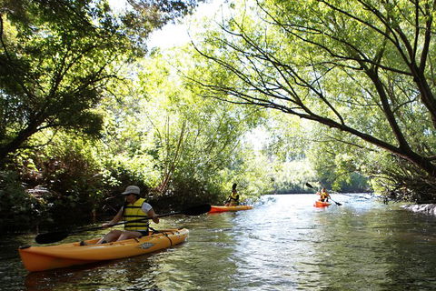Paddle With The Platypus Twilight Kayak Adventure - Hotel Accommodation 0