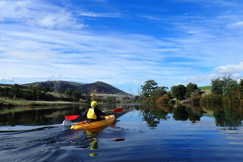 Paddle With The Platypus Twilight Kayak Adventure - Hotel Accommodation 5