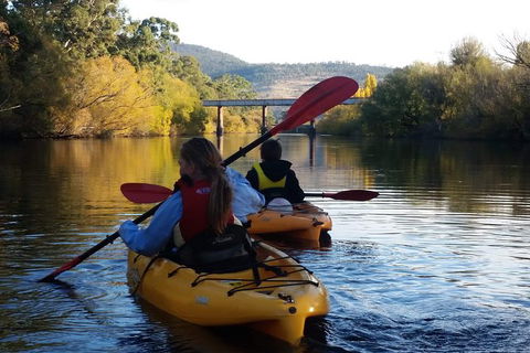Paddle With The Platypus Twilight Kayak Adventure - Hotel Accommodation 1