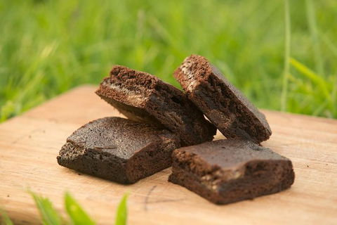 Paddle With The Platypus Twilight Kayak Adventure - Hotel Accommodation 4