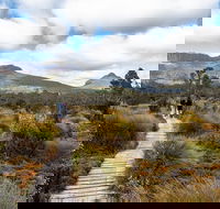 Cradle Mountain Day Tour - Hotel Accommodation