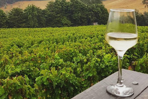 Coastal Drive And Sheffield In Colour - Hotel Accommodation 1