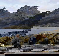 Cruise Ship Special from Burnie to Cradle Mountain