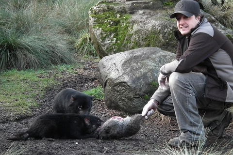 After Dark Tasmanian Devil Feeding Tour At Cradle Mountain - Hotel Accommodation 0