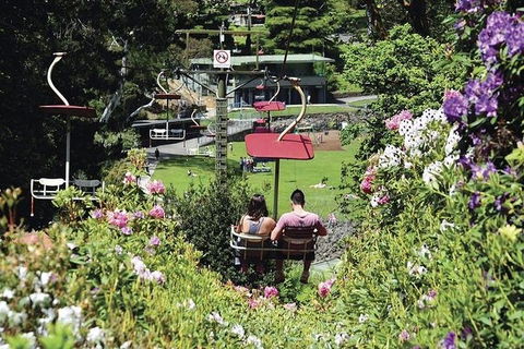 Launceston Private Charter Service - Hotel Accommodation 3