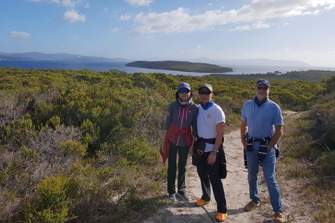 Maria Island And East Coast Five Day Cruise - Hotel Accommodation 2