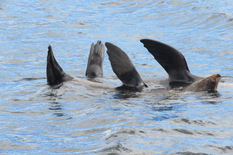 Maria Island And East Coast Five Day Cruise - Hotel Accommodation 3