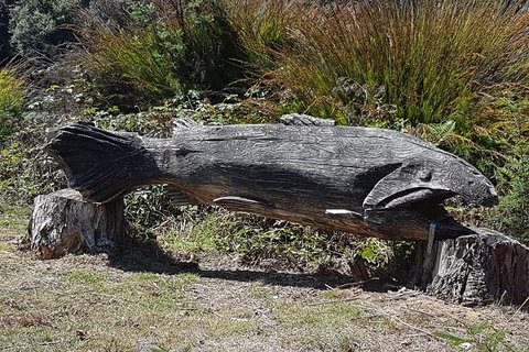 Cruise Ship Excursion: Gourmet Food & Wine - Hotel Accommodation 10