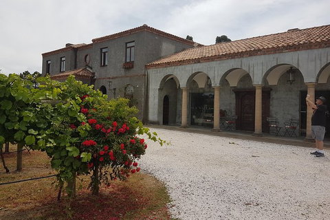 Cruise Ship Excursion: Gourmet Food & Wine - Hotel Accommodation 18